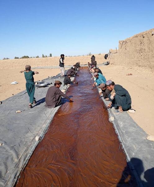 عکس تریاک افغانی
