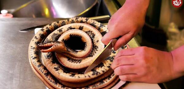 عکس غذا ژاپنی