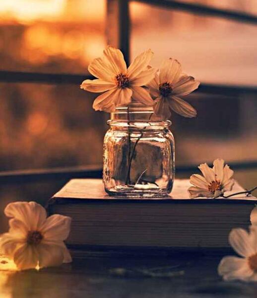 عکس تصویر پس زمینه زیبا برای نوشتن متن
