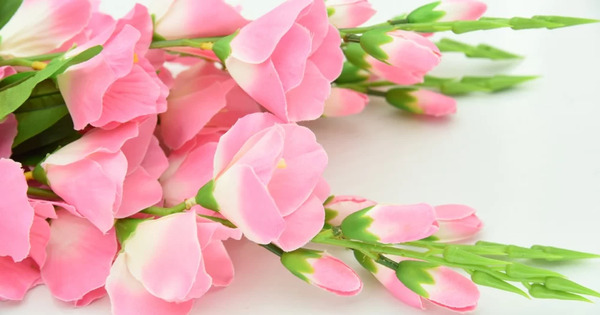 عکس کرومی مولودی