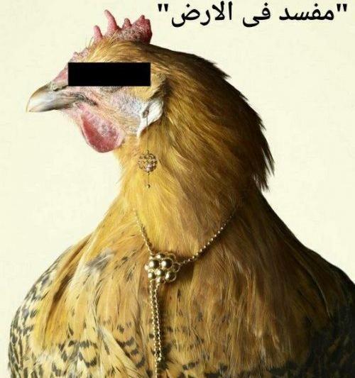 عکس طنز سرماخوردگی