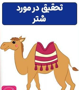 عکس شتر کودکانه
