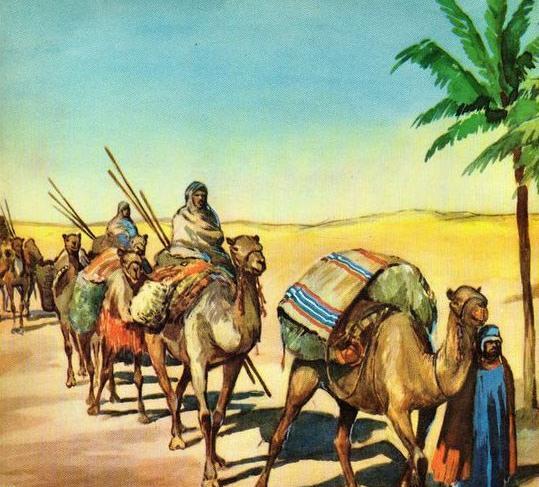عکس شتر کودکانه