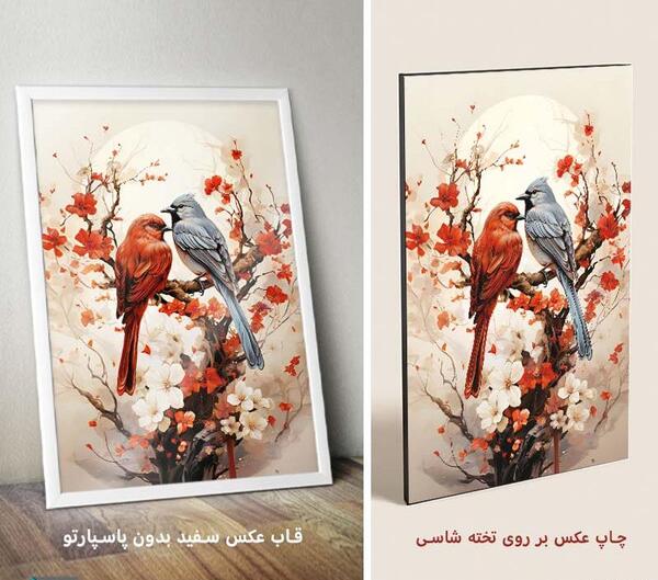 عکس ببر پرنده