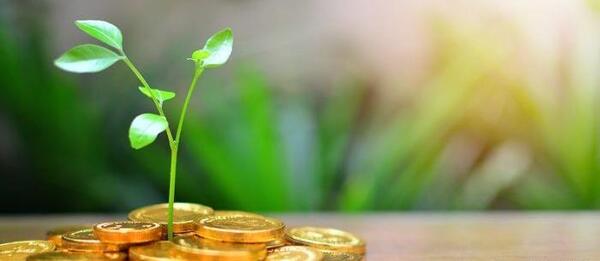 عکس ثروت اندوزی