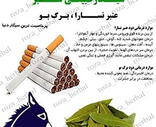 عکس سیگار عنبر نسارا
