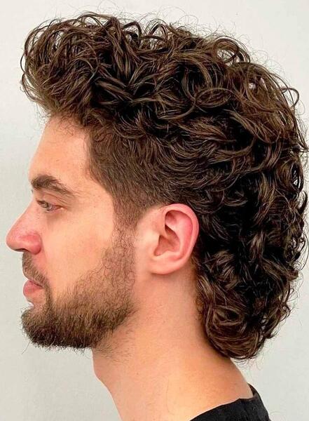 عکس موهای فر مردانه