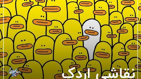 عکس نقاشی ساده اردک