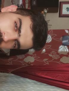 عکس بهزاد ذبیحی