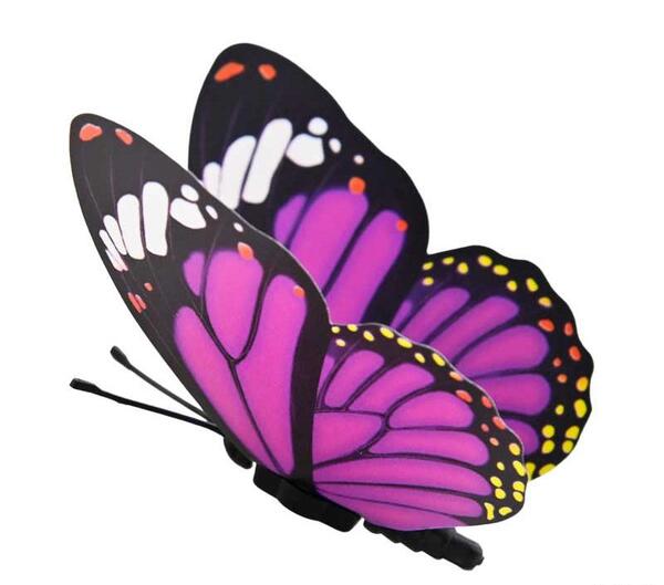 عکس پروانه گلبهی