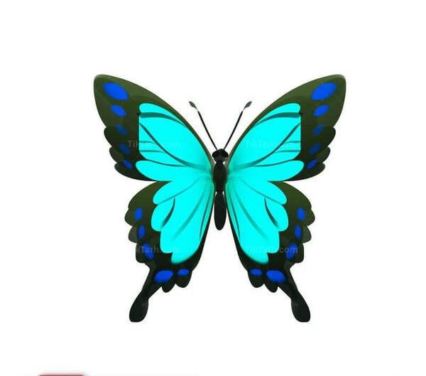 عکس پروانه گلبهی