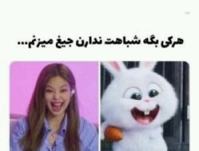 عکس بلک پینک سم