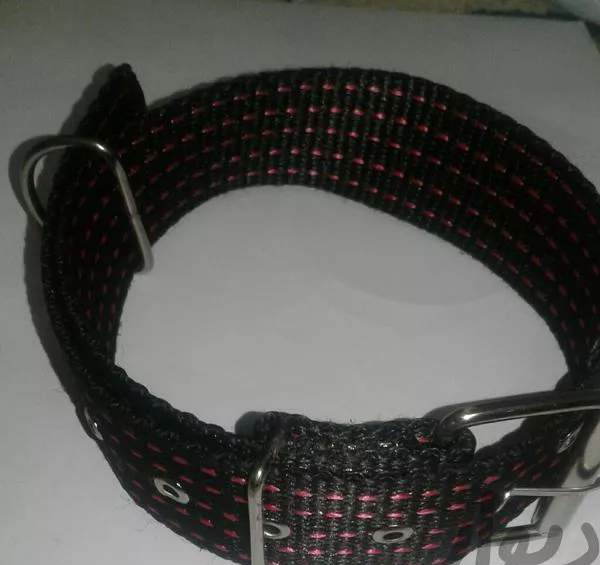 عکس گردنبند سگ