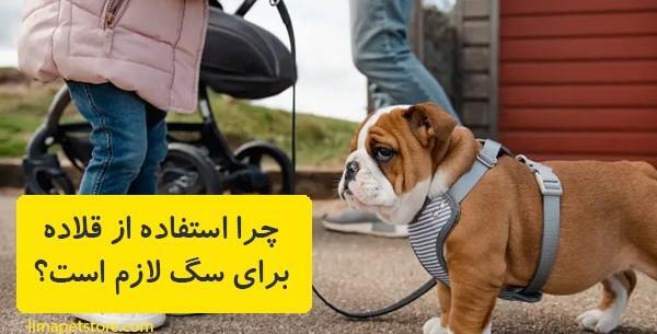 عکس گردنبند سگ