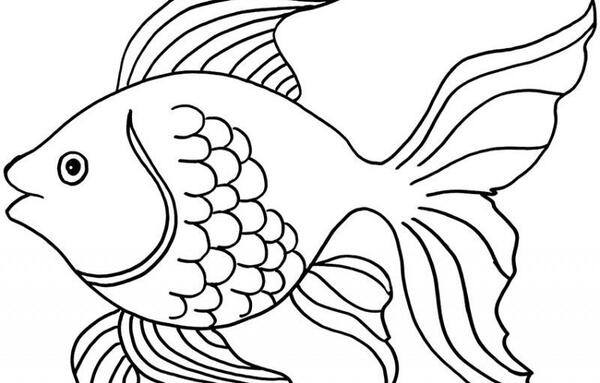عکس ماهی کارتونی ساده