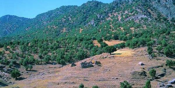 عکس سبزکوه