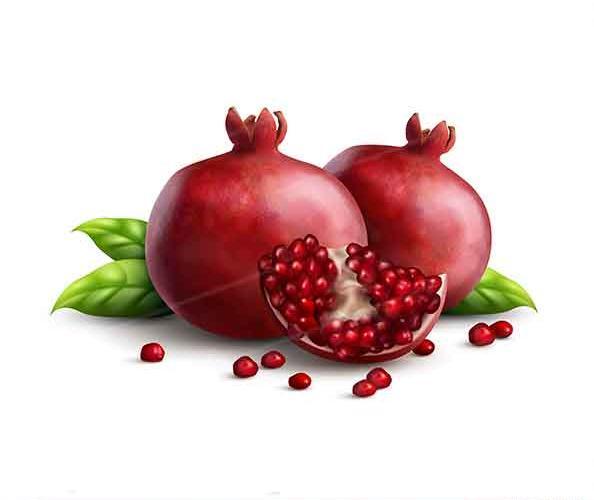 عکس لوگوی یلدا
