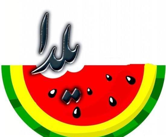 عکس لوگوی یلدا