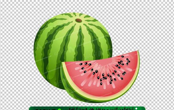 عکس لوگوی یلدا