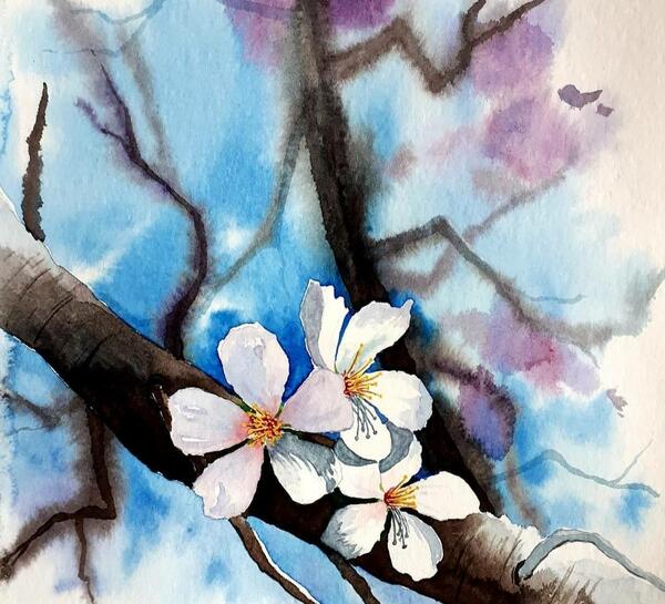 عکس نقاشی گل شکوفه