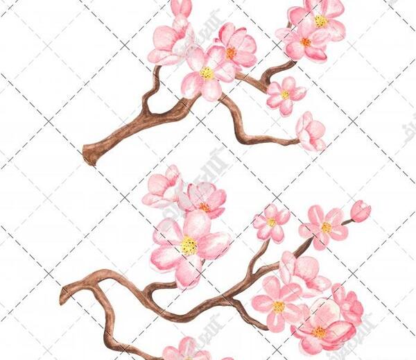 عکس نقاشی گل شکوفه