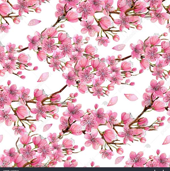 عکس نقاشی گل شکوفه