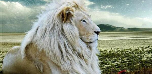عکس نوشته ی شیر سلطان جنگل