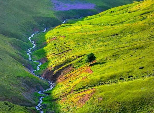 عکس از رضوانشهر