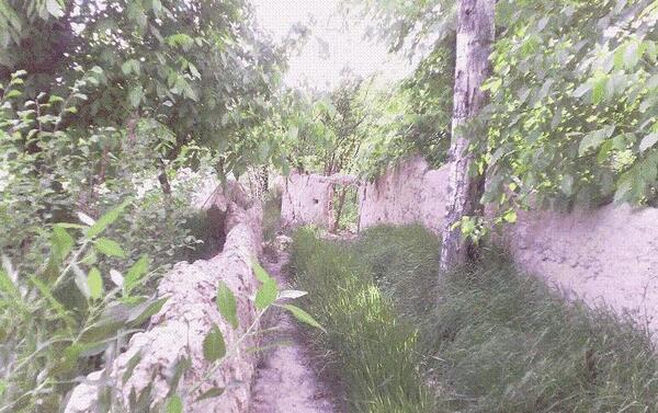 عکس از رضوانشهر