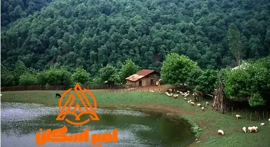 عکس از رضوانشهر