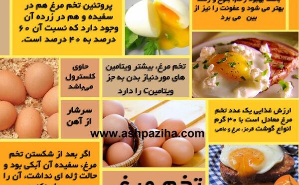 عکس روز جهانی تخمه مرغ