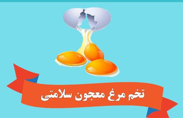عکس روز جهانی تخمه مرغ
