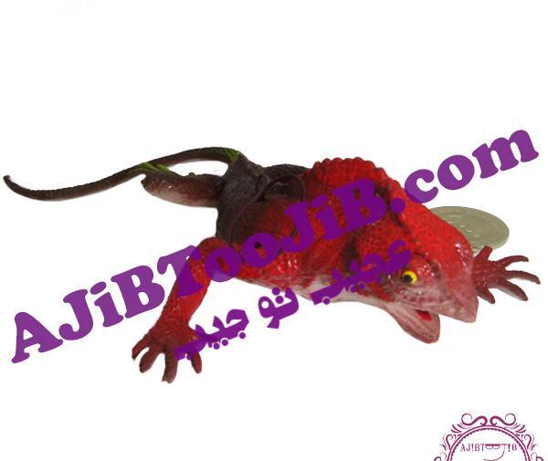 عکس مارمولک اسباب بازی