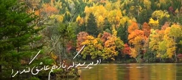عکس استوری پاییزی ام حجت اشرف زاده