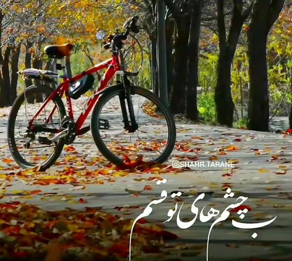 عکس استوری پاییزی ام حجت اشرف زاده