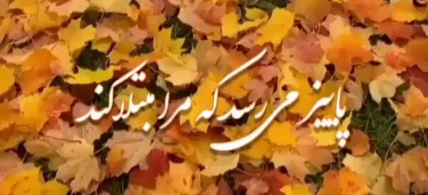 عکس استوری پاییزی ام حجت اشرف زاده