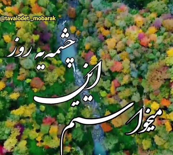 عکس استوری پاییزی ام حجت اشرف زاده