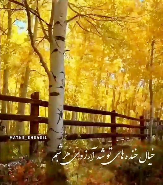 عکس استوری پاییزی ام حجت اشرف زاده