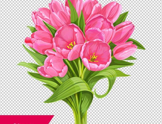 عکس گروه گل لاله