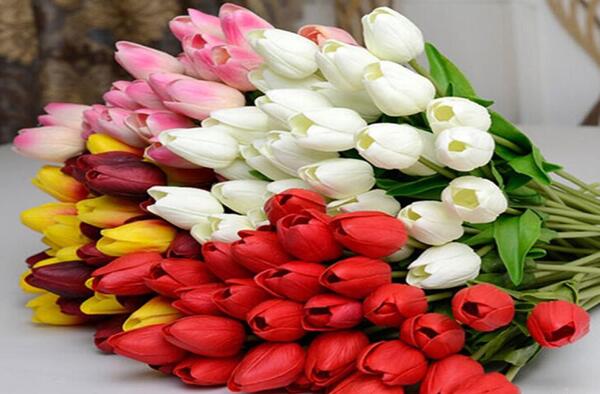 عکس گروه گل لاله