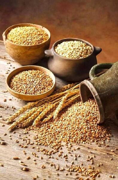 عکس جو معمولی