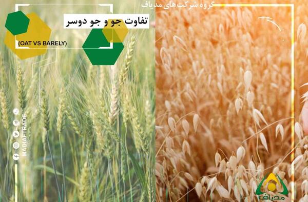 عکس جو معمولی