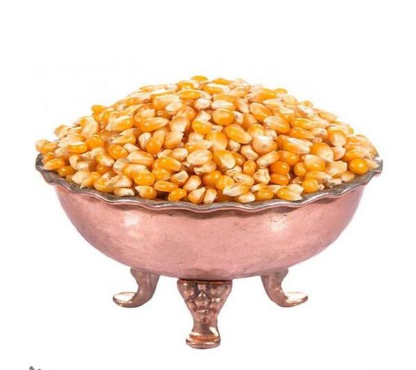 عکس ذرت خشک