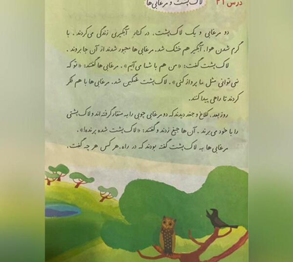 عکس لاک پشت و مرغابی ها