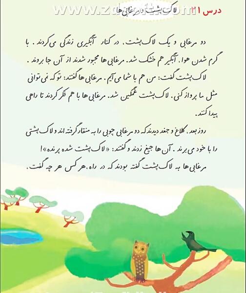 عکس لاک پشت و مرغابی ها
