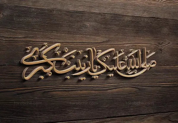 عکس صلی الله علیک یا زینب کبری