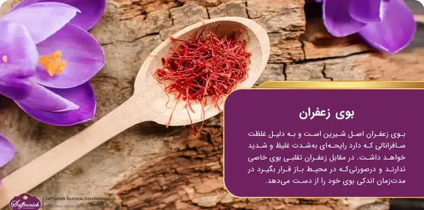 عکس تصاویر زعفران تقلبی