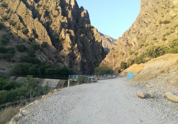 عکس جوزار