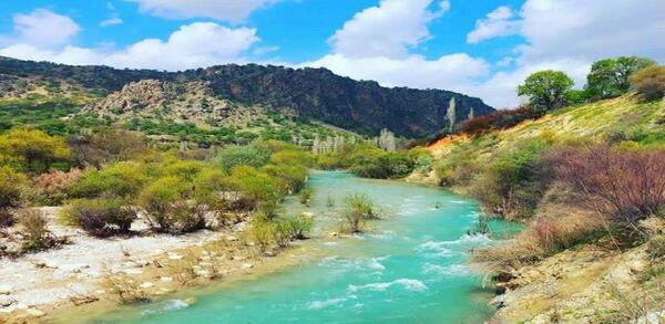 عکس جوزار