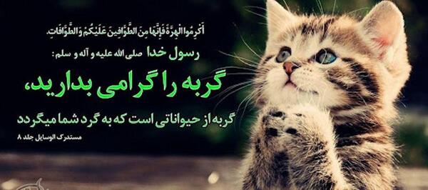 عکس انگیزشی حیوانات